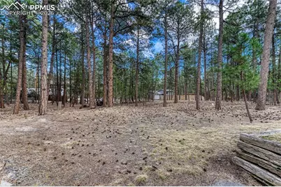 15435 Pleasant View Drive, Colorado Springs, CO 80921 - Photo 40