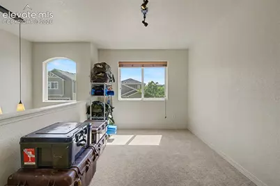 11675 Black Maple Lane, Colorado Springs, CO 80921 - Photo 28