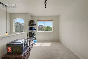 11675 Black Maple Ln, Colorado Springs, CO 80921 - Photo 28