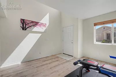 11675 Black Maple Lane, Colorado Springs, CO 80921 - Photo 20