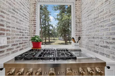 19404 Hilltop Pines Path, Monument, CO 80132 - Photo 10