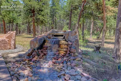 19404 Hilltop Pines Path, Monument, CO 80132 - Photo 16