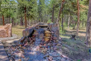 19404 Hilltop Pines Path, Monument, CO 80132 - Photo 16