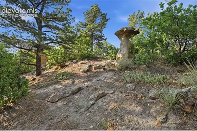 7335 Buckeye Court, Colorado Springs, CO 80918 - Photo 48