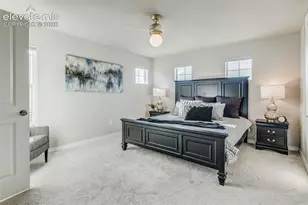 4608 Gneiss Loop, Colorado Springs, CO 80938 - Photo 18