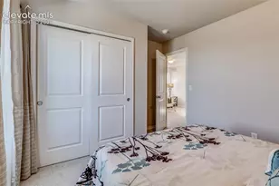 4608 Gneiss Loop, Colorado Springs, CO 80938 - Photo 26