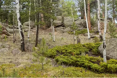 5853 W Highway 24, Divide, CO 80814 - Photo 50