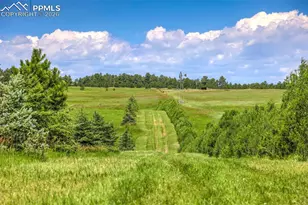18135 Spur Ranch Rd, Peyton, CO 80831 - Photo 44