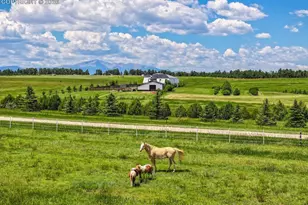 18135 Spur Ranch Rd, Peyton, CO 80831 - Photo 42