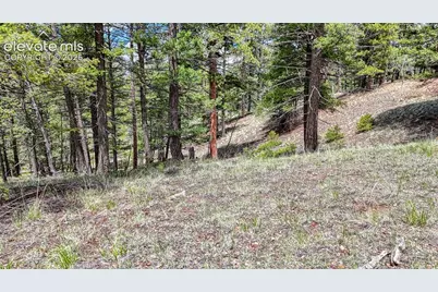 26 N Eldorado Circle, Florissant, CO 80816 - Photo 24