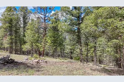 26 N Eldorado Circle, Florissant, CO 80816 - Photo 16