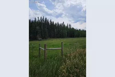 702 Lake Drive, Divide, CO 80814 - Photo 6