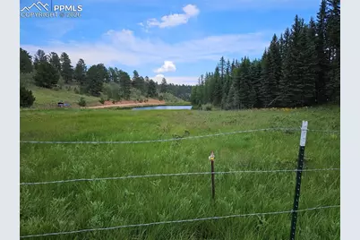 702 Lake Drive, Divide, CO 80814 - Photo 14