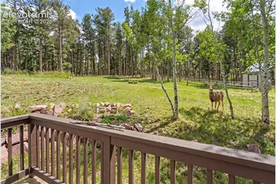 1157 Ptarmigan Drive, Woodland Park, CO 80863 - Photo 34