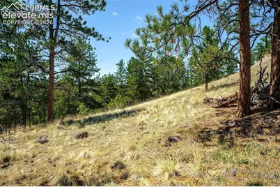 56 Dallas Park Circle, Florissant, CO 80816 - Photo 20