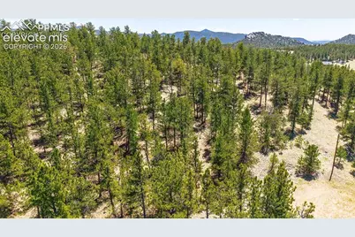 56 Dallas Park Circle, Florissant, CO 80816 - Photo 12