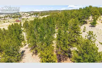 56 Dallas Park Circle, Florissant, CO 80816 - Photo 4