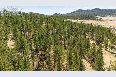 56 Dallas Park Circle, Florissant, CO 80816 - Photo 1