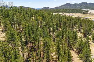 56 Dallas Park Cir, Florissant, CO 80816 - Photo 1