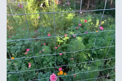 101 Trump Avenue, Colorado Springs, CO 80909 - Photo 40