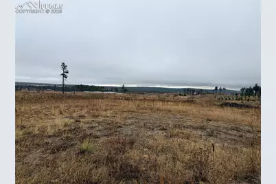 13810 Wildoak Drive, Black Forest, CO 80908 - Photo 8