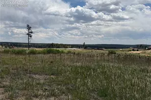 13810 Wildoak Dr, Black Forest, CO 80908 - Photo 1