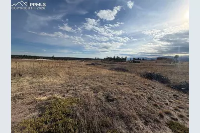 13810 Wildoak Drive, Black Forest, CO 80908 - Photo 6