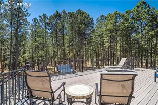 705 Powderhorn Dr, Monument, CO 80132 - Photo 42