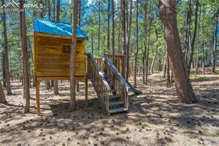 705 Powderhorn Dr, Monument, CO 80132 - Photo 48