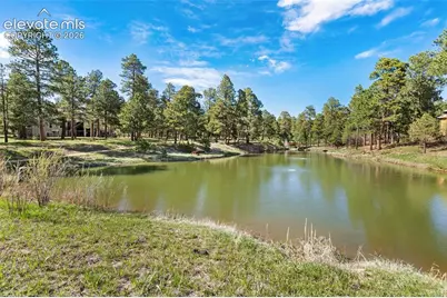 4415 Hidden Rock Road, Colorado Springs, CO 80908 - Photo 50