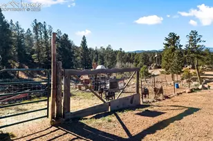 2028 Crystal Peak Dr, Lake George, CO 80827 - Photo 40