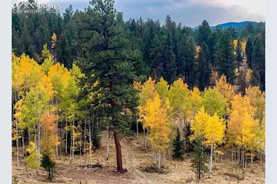 2028 Crystal Peak Drive, Lake George, CO 80827 - Photo 10