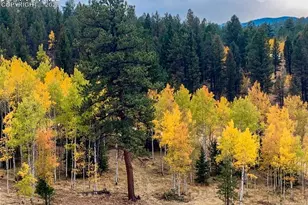 2028 Crystal Peak Dr, Lake George, CO 80827 - Photo 10