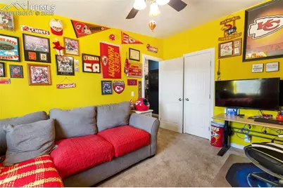 2028 Crystal Peak Drive, Lake George, CO 80827 - Photo 36