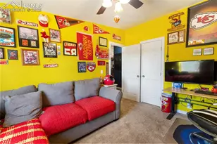 2028 Crystal Peak Dr, Lake George, CO 80827 - Photo 36