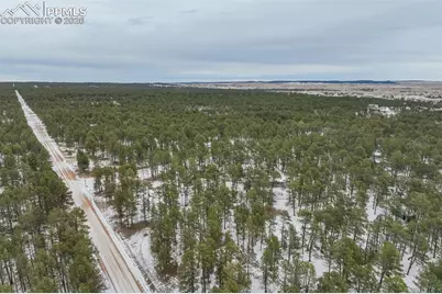 12375 Mount Shasta Drive, Elbert, CO 80106 - Photo 48