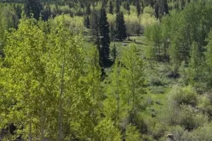 124 Yorktown Dr, Cripple Creek, CO 80813 - Photo 1