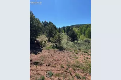 124 Yorktown Drive, Cripple Creek, CO 80813 - Photo 8