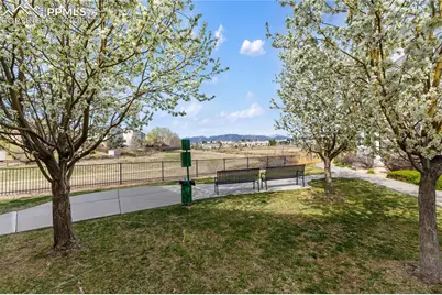 7309 Sandy Springs Point, Fountain, CO 80817 - Photo 32