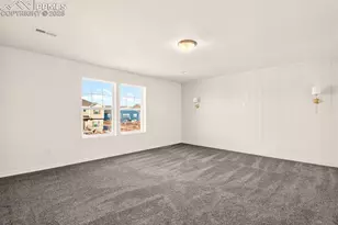 6007 Wendy Stream Wy, Colorado Springs, CO 80924 - Photo 18