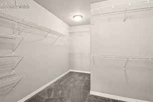 6007 Wendy Stream Wy, Colorado Springs, CO 80924 - Photo 24