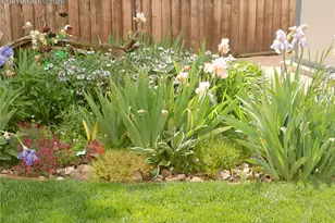 2125 Mt Werner Ct, Colorado Springs, CO 80905 - Photo 38