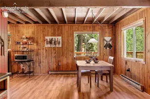 546 Pulver Rd, Lake George, CO 80827 - Photo 10
