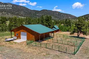 546 Pulver Rd, Lake George, CO 80827 - Photo 40