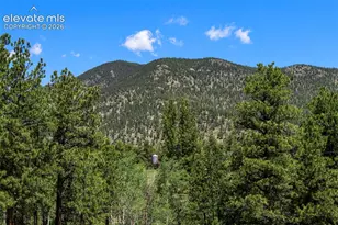 546 Pulver Rd, Lake George, CO 80827 - Photo 24