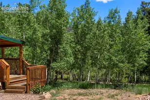 546 Pulver Rd, Lake George, CO 80827 - Photo 4