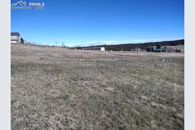 149 Will Scarlet Drive, Divide, CO 80814 - Photo 4