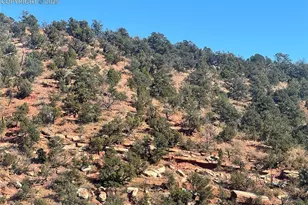 Tarrant St, Manitou Springs, CO 80829 - Photo 1