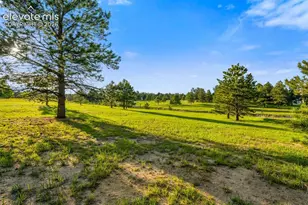 19035 Purser Ct, Monument, CO 80132 - Photo 36