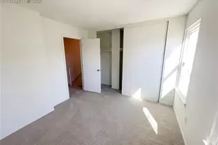 3437 Queen Anne Way, Colorado Springs, CO 80917 - Photo 12